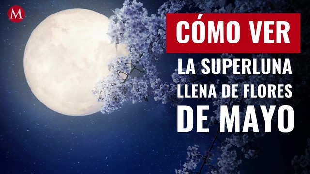 Cómo ver la Superluna llena de flores de mayo, la última del año