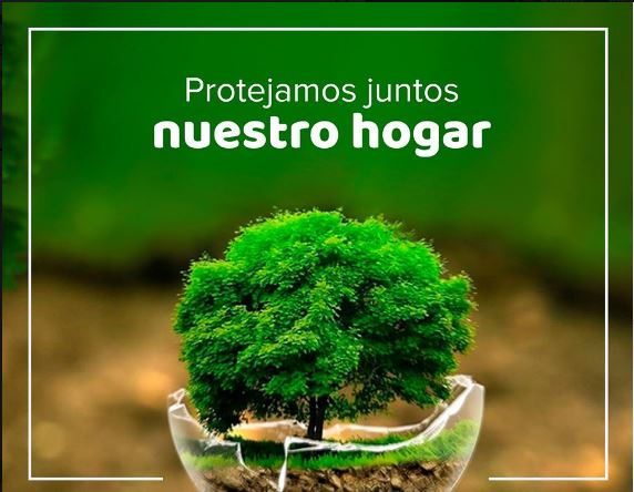 Crean programa digital para cuidado de medio ambiente