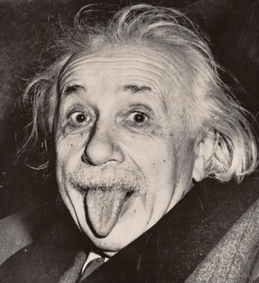'Einstein's Fun' por Arthur Sasse.(EFE)