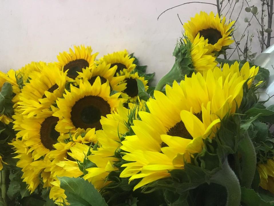 En León, cae precio de flores para el Día de las madres ante covid-19.