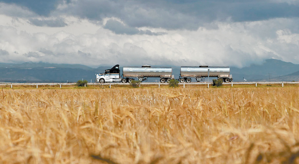 La bebida es el primer producto agroindustrial de exportación del país. (Cuartoscuro)
