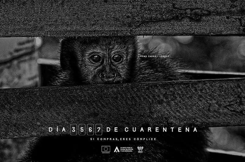 Una campaña a favor de los animales (La otra campaña).