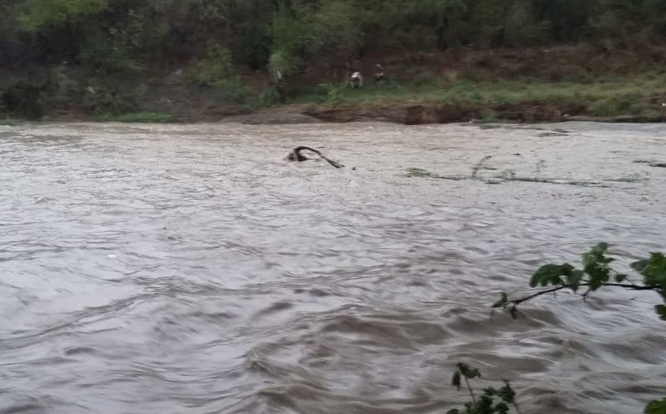 Las fuertes lluvias de la tarde de este viernes provocaron que el cauce del río aumentara. Foto: Especial