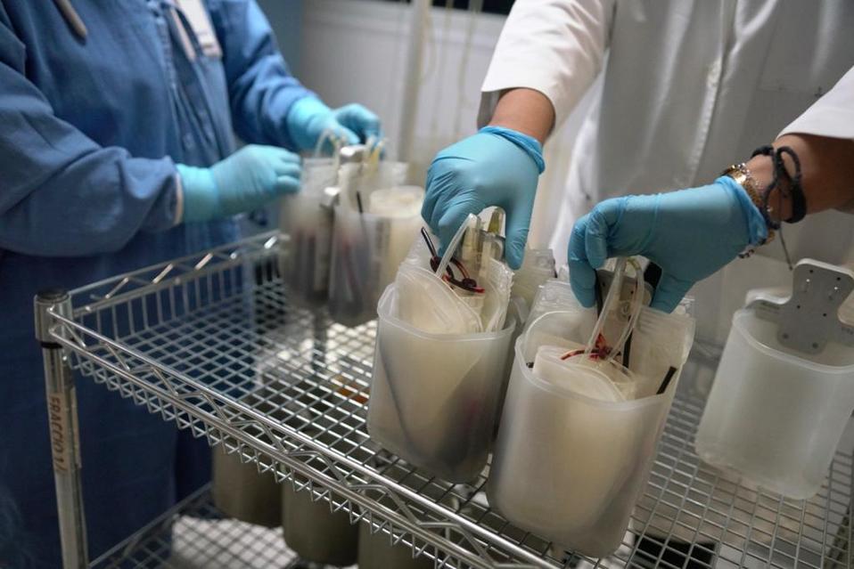 El IMSS podrá usar el plasma de pacientes convalecientes de covid-19 para atender nuevos casos. (Especial)