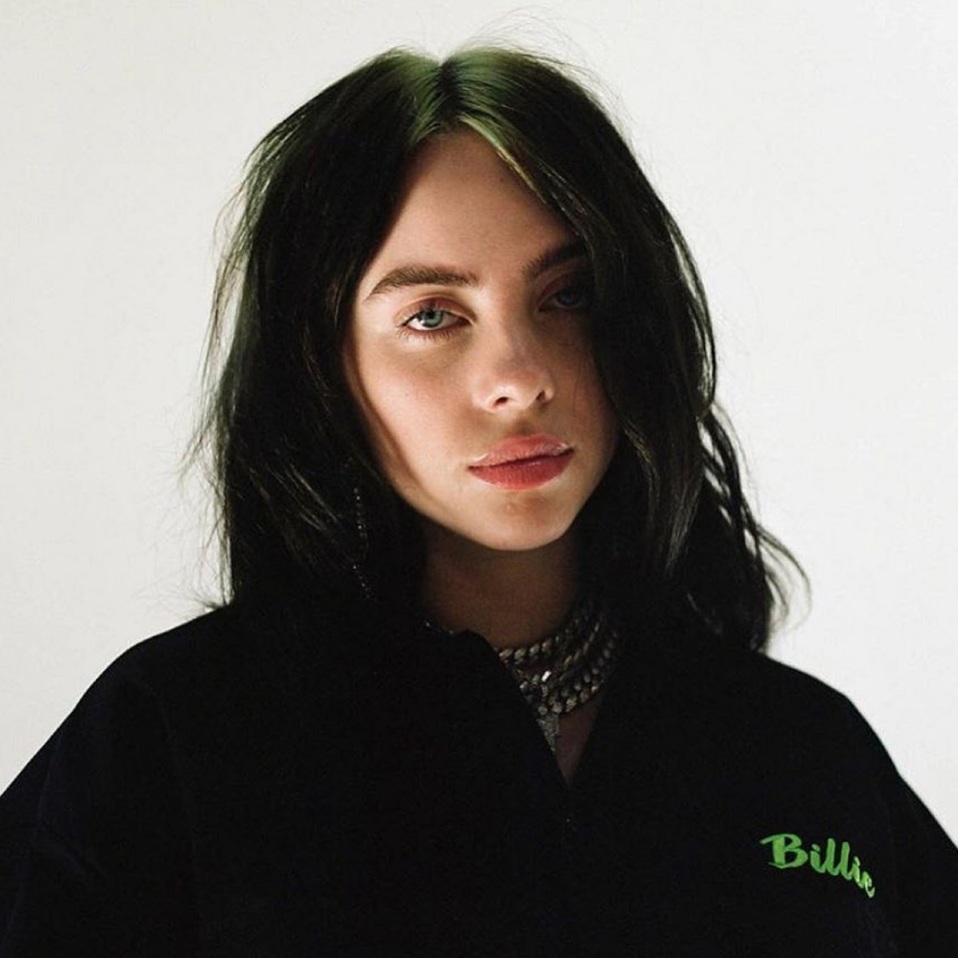El fan había acudido a casa de Billie Eilish en repetidas ocasiones (Instagram).
