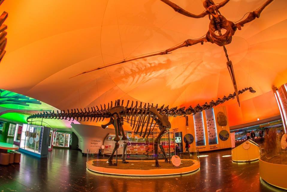 Museo de Historia Natural y Cultura Ambiental.
