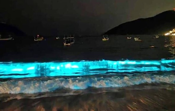 El fenómeno natural apareció en playas mexicanas, como Puerto Marqués (Instagram: @arlin_robles).