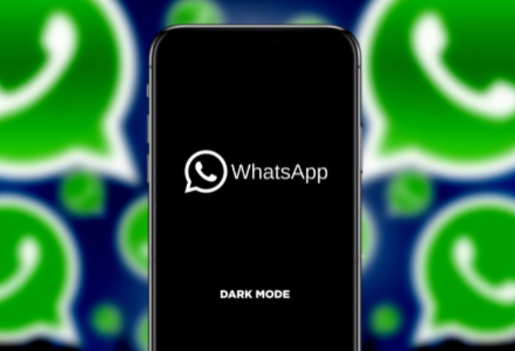 WhatsApp: ¿cómo escuchar un audio antes de enviarlo? (Shutterstock)