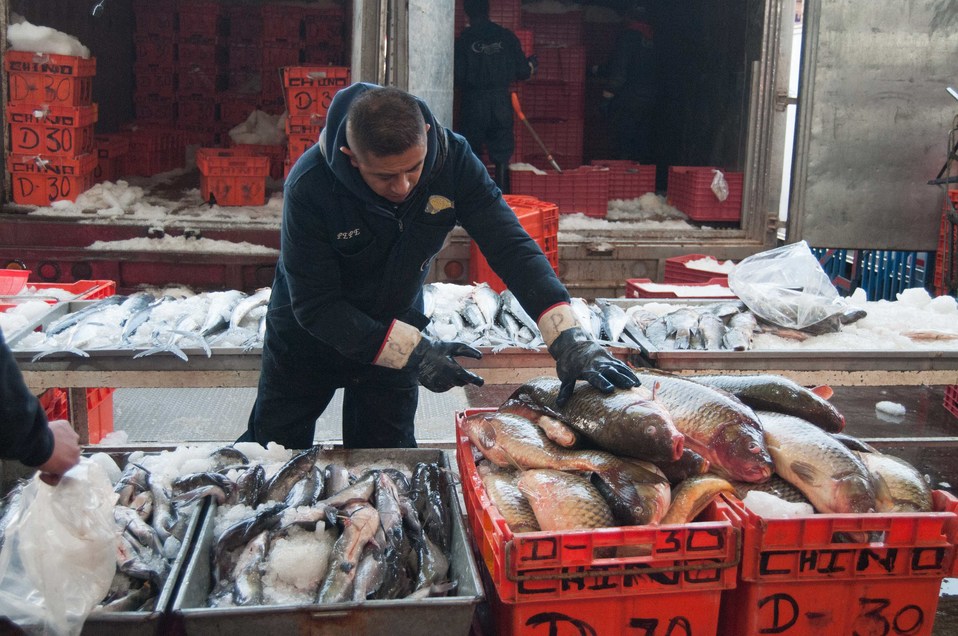 Retiene Conapesca 178.8 toneladas de producto pesquero durante abril (Especial)