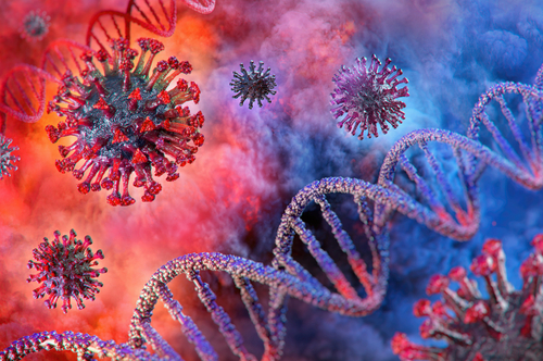 El coronavirus infecta las células de los riñones, el cerebro y el corazón. (Shutterstock)