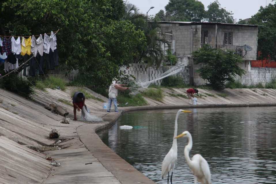 Aumentó pesca furtiva por covid-19