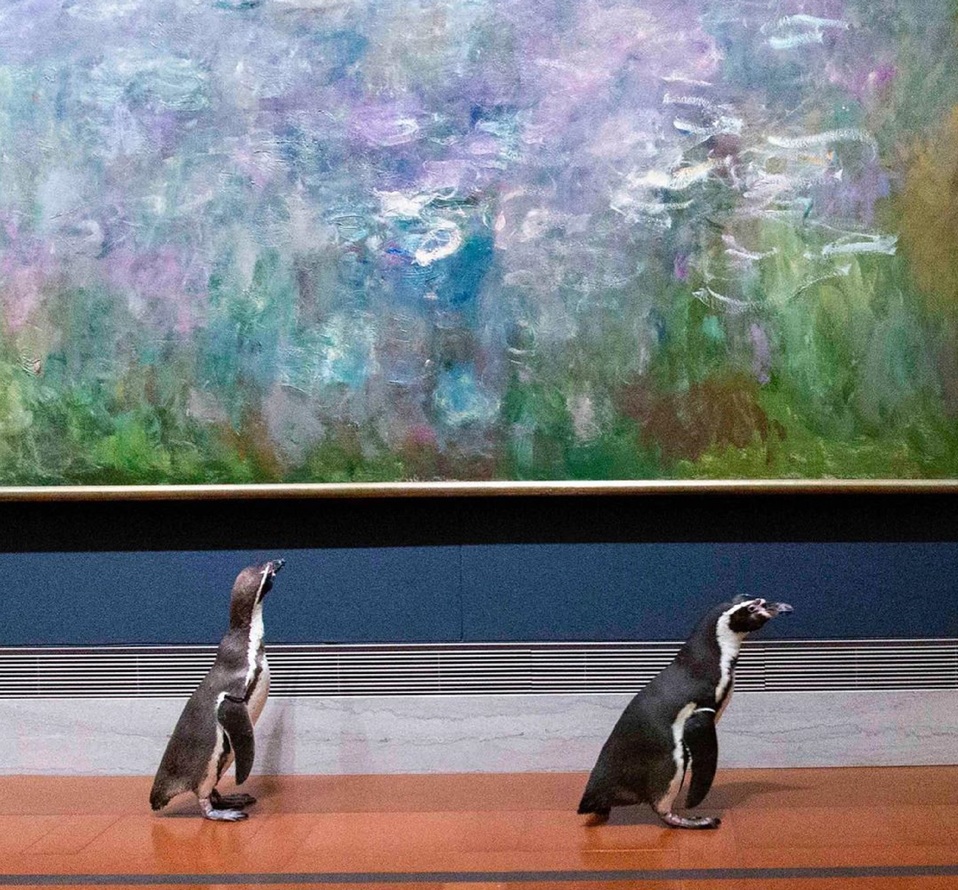 Los pingüinos dieron un recorrido por el museo (Instagram).