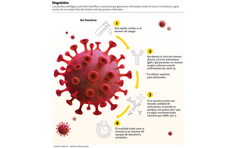 Diagnóstico. Las pruebas serológicas permiten identificar a personas que generaron anticuerpos contra el virus. (Gráfico: Moisés Butze)