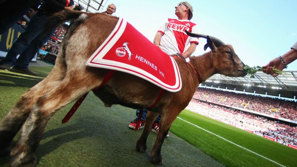 Hennes IX (Bundesliga)