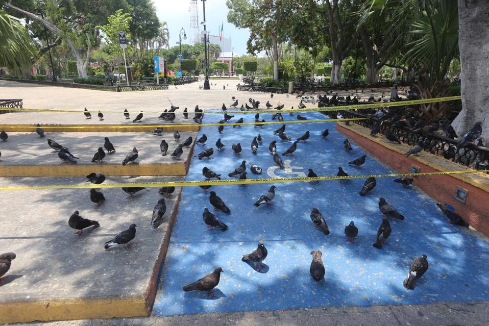 El gobierno de la CdMx reiteró a no continuar con las medidas sanitarias pese a la nueva normalidad./ Jorge Carballo
