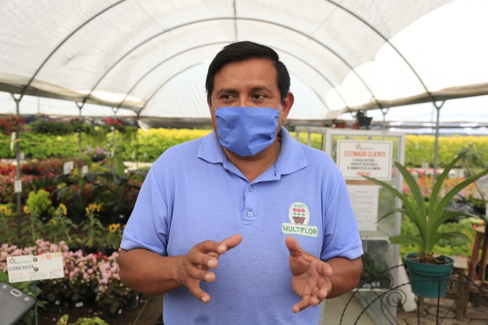“En los viveros encontrarán plantas aromáticas, por lo que pueden adquirir un té limón, albahaca, ruda, hierbabuena, entre otras". (Andrés Lobato)