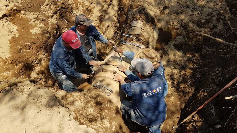 Estos rubros contarán con 10 mil 875.9 millones de pesos. (Especial)