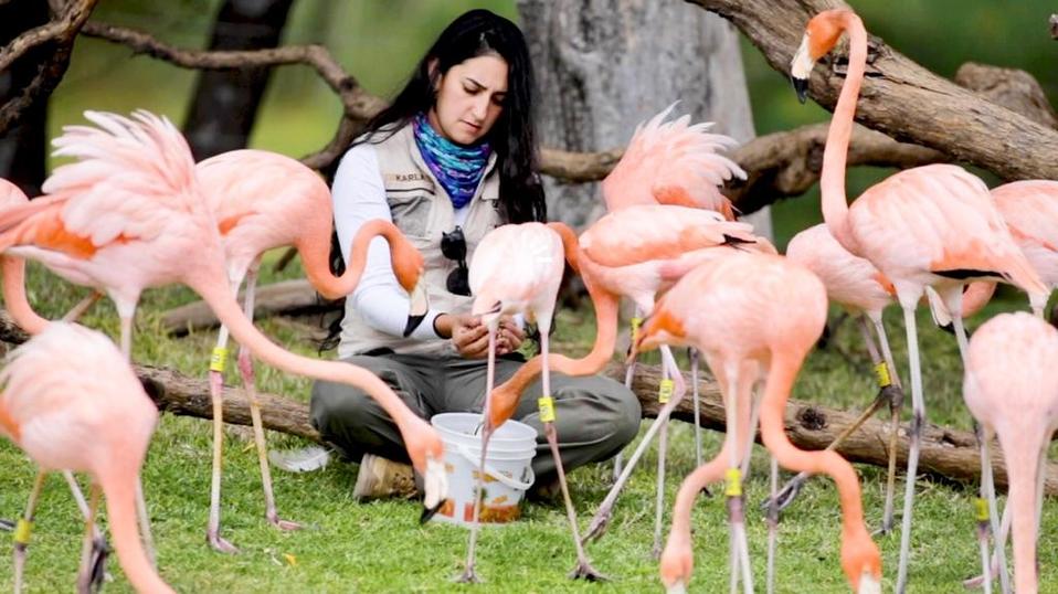 La AZCARM solicitó al presidente de la república apoyar a los zoológicos. (Fanny Miranda)