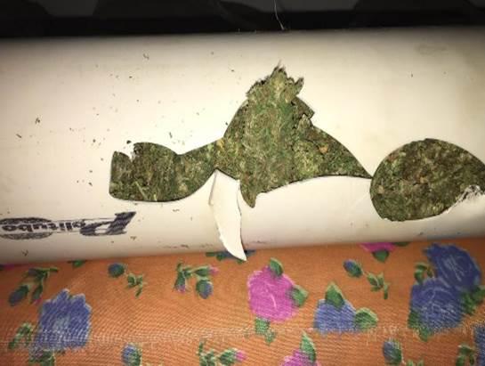 La droga fue localizada con ayuda de binomios caninos./ Especial