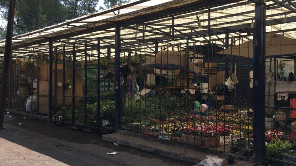 Los mercados de Xochimilco cerrarán por emergencia de salud (Especial)