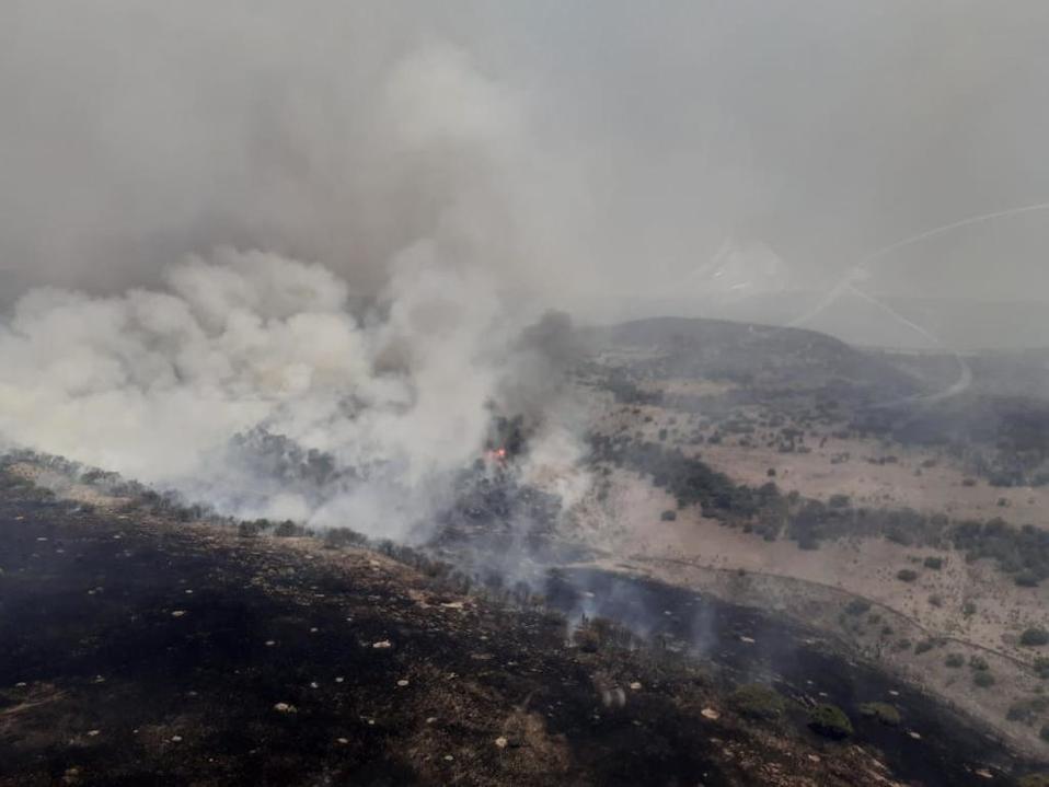 Alrededor de 88 brigadistas combaten el incendio.