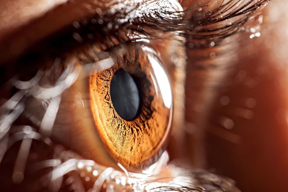El artefacto tiene la capacidad de detectar imágenes al reconstruir patrones proyectados en él, como un ojo cuando ve.(Shutterstock)