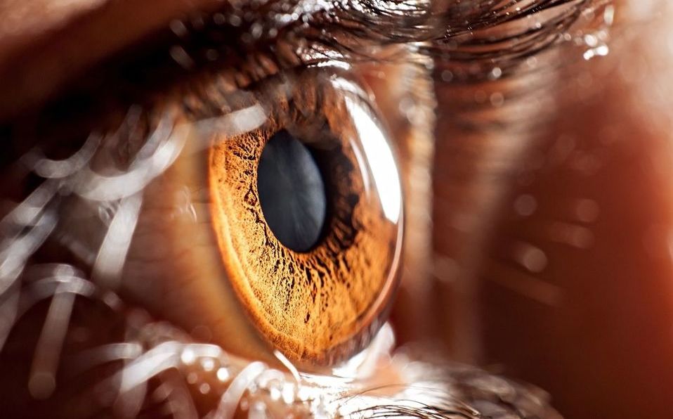 Crean 'ojo biónico' capaz de ver letras y mejorar la visión Grupo Milenio