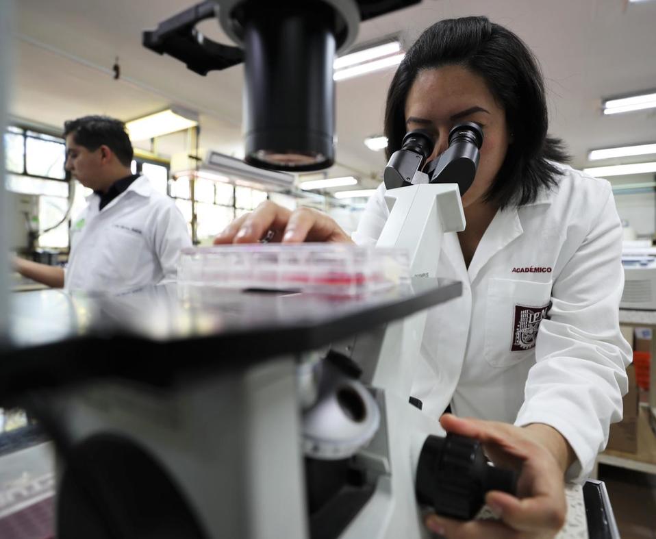 Cuentan con la participación de una docena de estudiantes de licenciatura. (Alma Paola Wong)