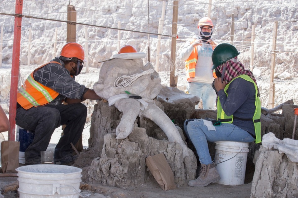 Además de los mamuts fueron halladas osamentas humanas y otros animales. (Foto: Jesús Quintanar)