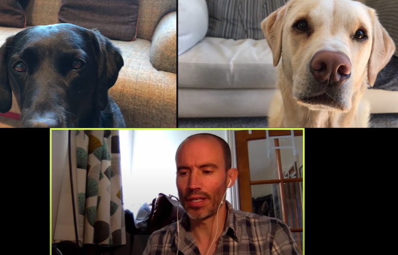 Videollamada de dos perros con su dueño se hace viral. (Captura)