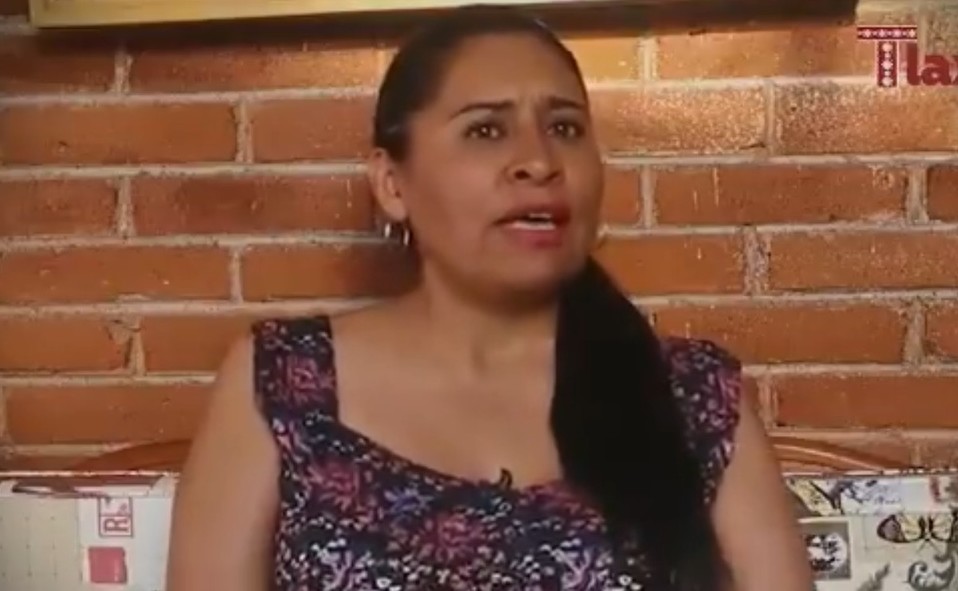 Ana Lilia Rivera, senadora de Morena. (Captura)