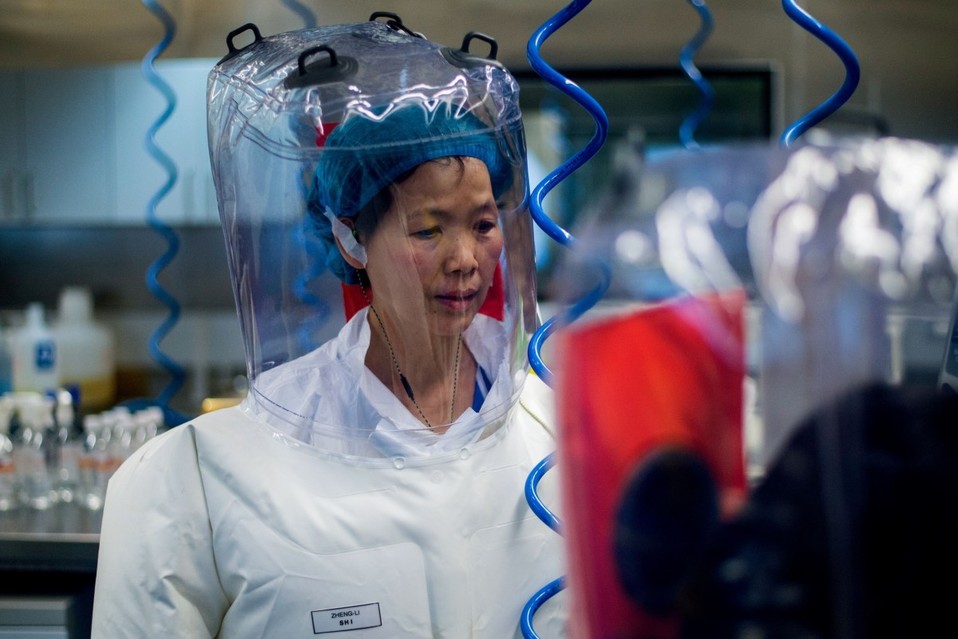 Shi Zhengli ha trabajado durante años con coronavirus de murciélago.(AFP)
