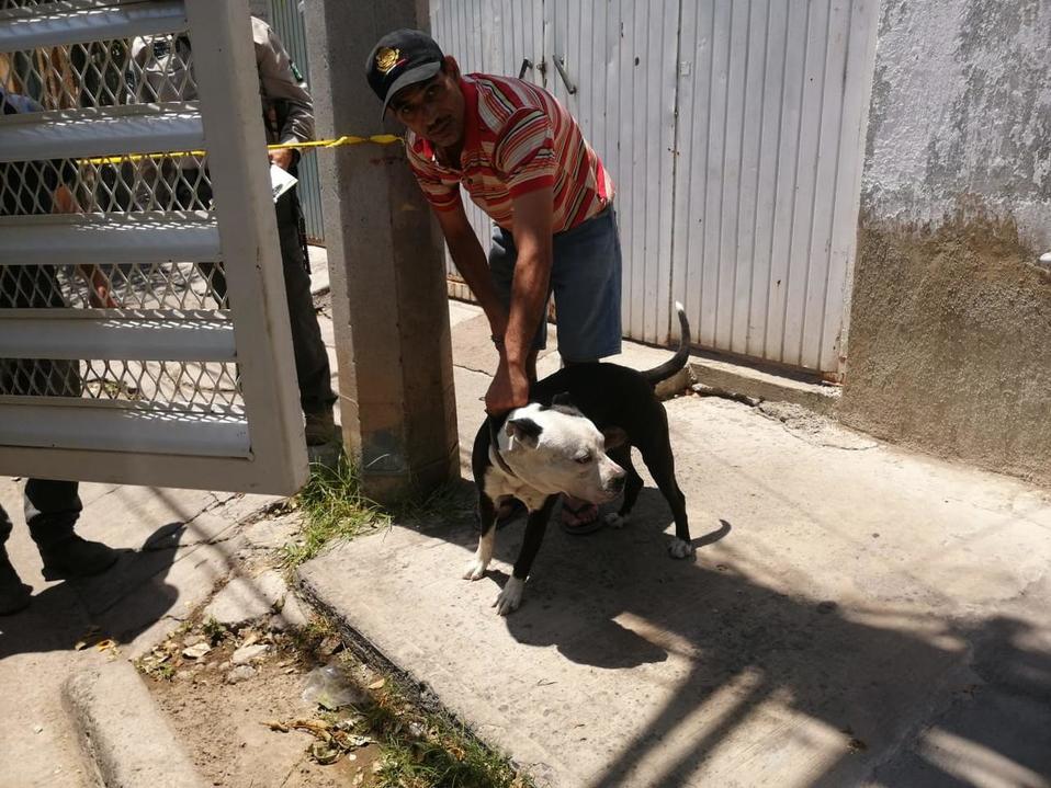 Aparentemente, la señora se encontraba en su domicilio cuando fue atacada por el perro. (Juan Carlos Munguía)