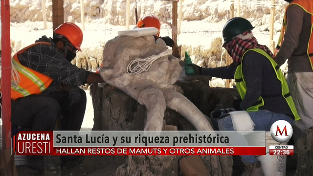 Después de miles de años de espera, Sedena rescata 132 mamuts