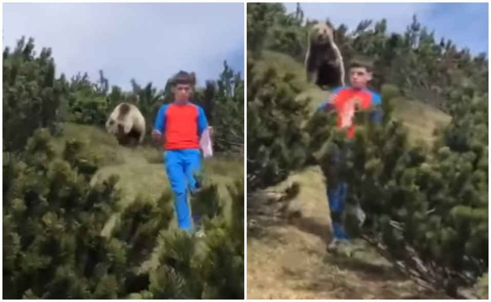 El oso caminó varios metros tras el pequeño, e incluso se levantó en dos patas, sin embargo, Alssandro nunca perdió la calma (Especial).