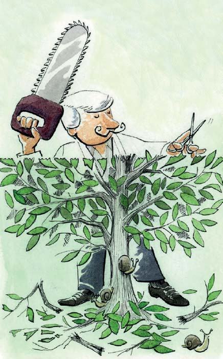 La iniciativa reitera que hay opacidad y discrecionalidad en los fideicomisos; pareciera que basta su reiteración para que sea verdadera.