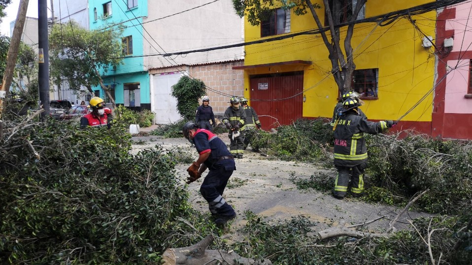 El Heróico Cuerpo de Bomberos de la CdMx retiró los árboles caídos. (Jorge Becerril)