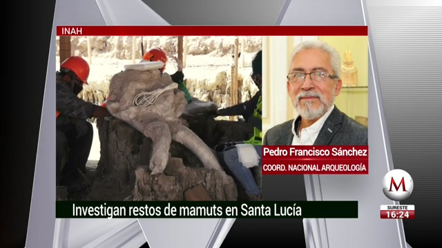 La paleontología se enriquece con hallazgo de mamuts en Santa Lucía