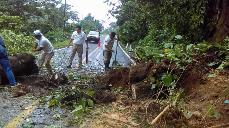 Entre las afectaciones, se reportaron caída de árboles y deslizamiento de tierra. (Foto: Twitter Protección Civil Chiapas)