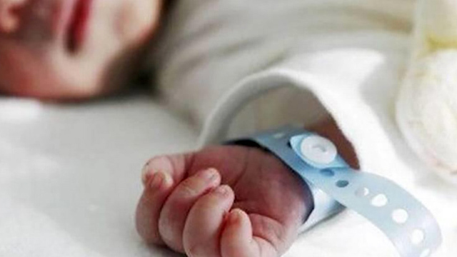 Investigan muerte de tres bebés en el Centro Médico en Guadalajara; estarían relacionados con bacteria Klebsiella