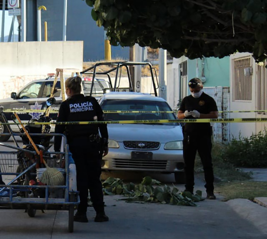 Jardinero muere en Torreón. (Notivox Digital)