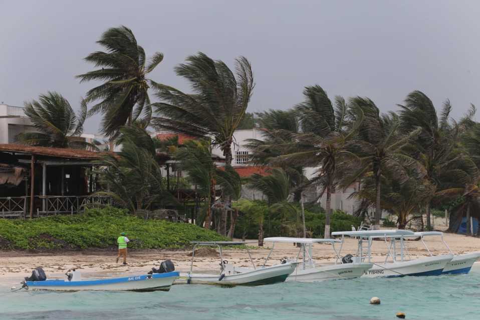 La tormenta 'Cristóbal' sacude las palmeras de Puerto Morelos, Quintana Roo. (Javier Ríos)