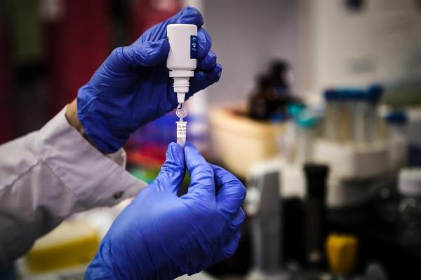 Universidad Oxford probará su vacuna contra el coronavirus en Brasil. (EFE)