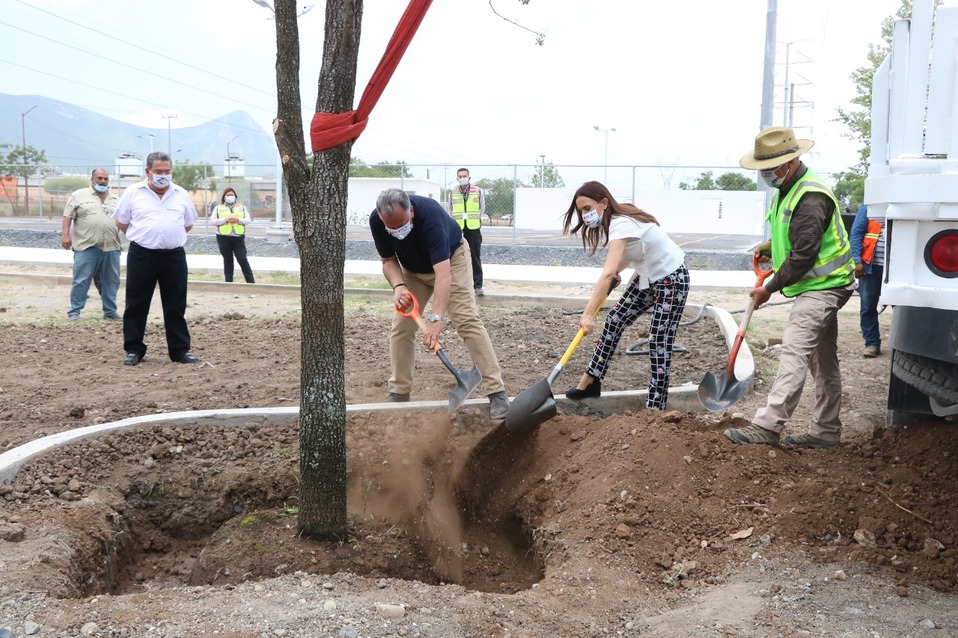 La alcaldesa resaltó que los árboles no son pequeños y se plantan ya con una “edad” avanzada. Foto: Leonel Rocha