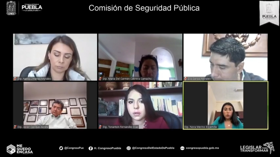 Comisión de Seguridad Pública en sesión virtual. (Especial)