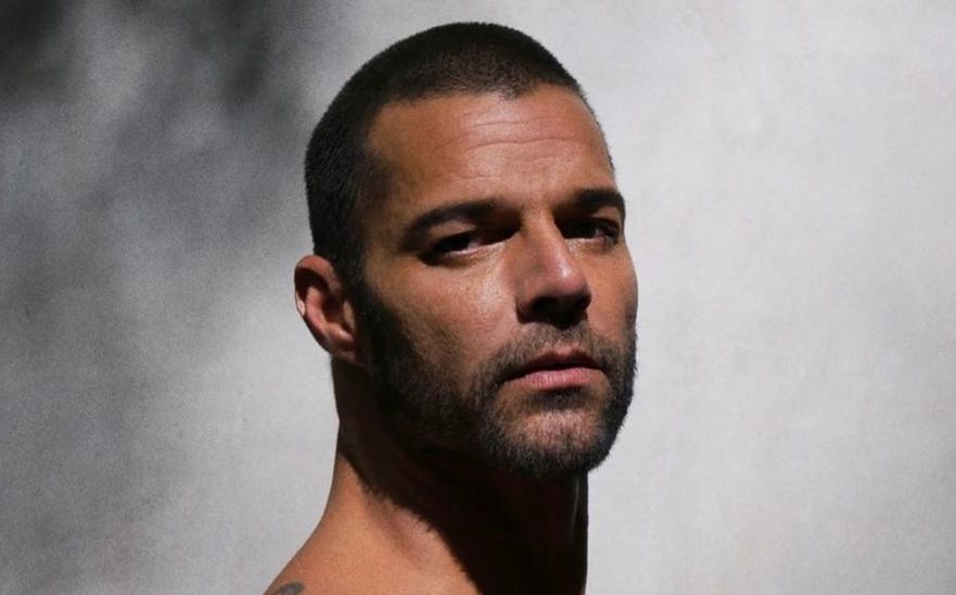 Security Ricky Martin Ricky Martin dice que su vida podría correr peligro en Estados Unidos ...