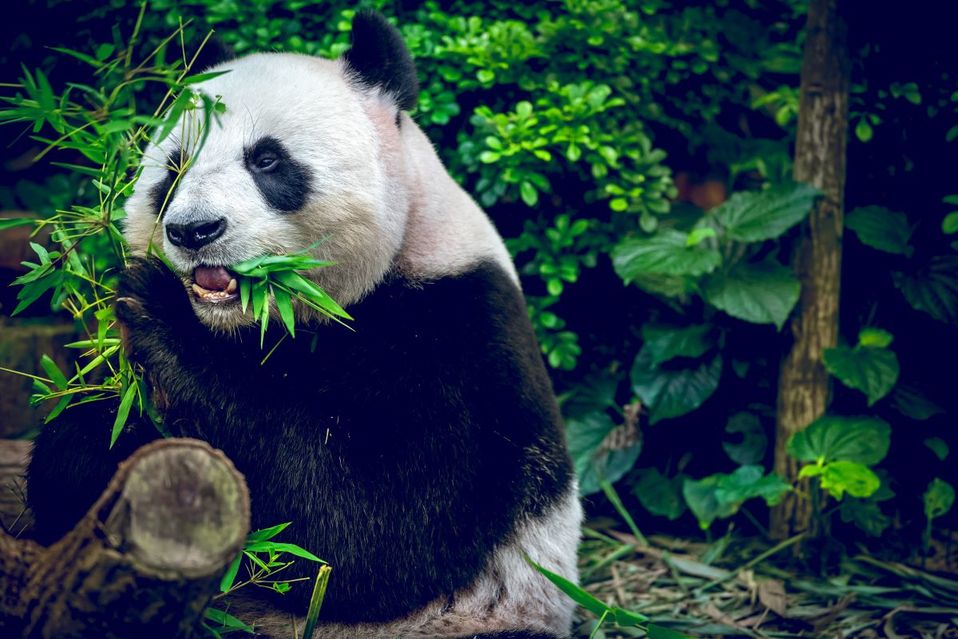 .(Shutterstock)