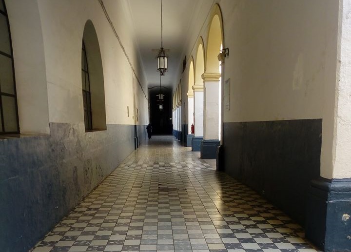 Muchos la han visto caminando por los pasillos.