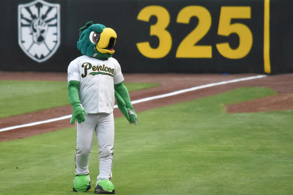 Pepe Perico superó sin discusión a Nelson la mascota de Oaxaca, así como al perro Rocco de los Diablos Rojos del México. (Agencia Enfoque)