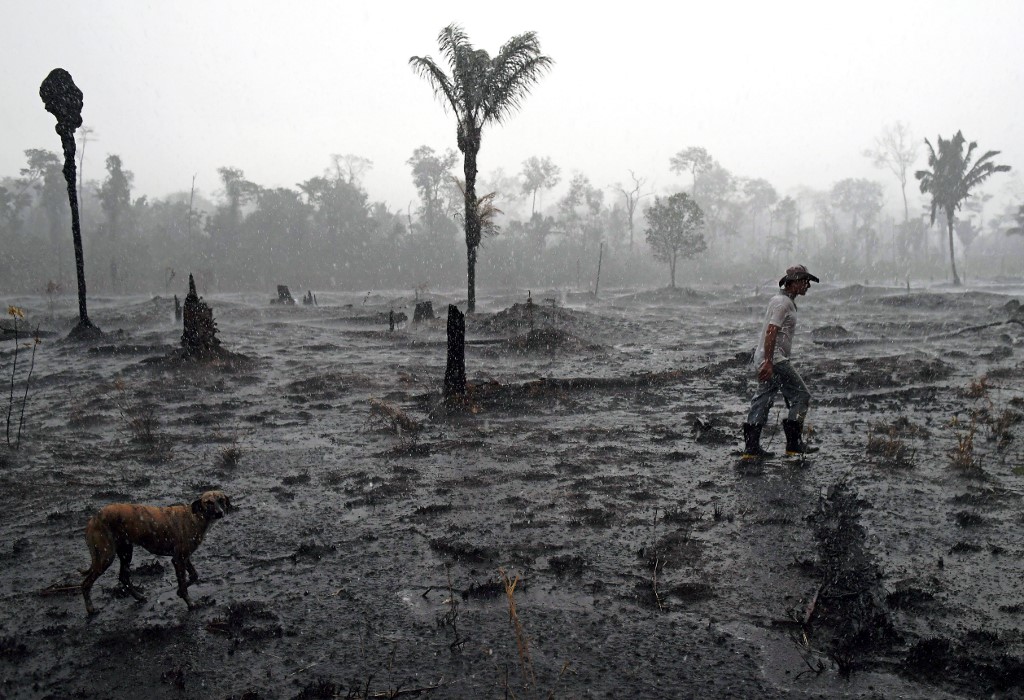 Amazonas registró su mayor defoestación desde 2009; en 1995 fue el máximo récord registrado. (AFP / Archivo)